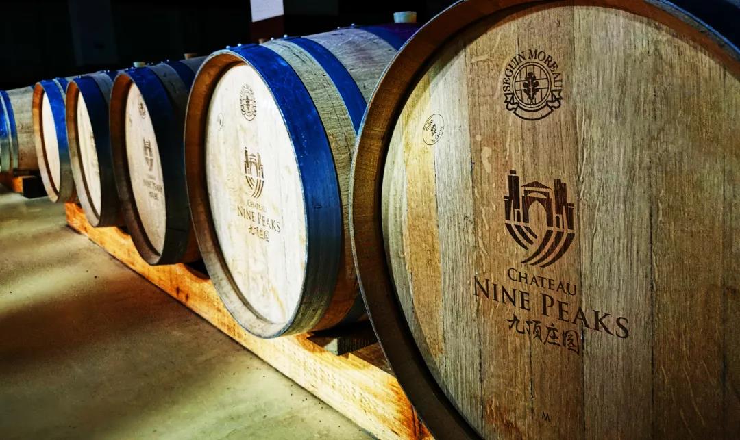 16337667759682151559.jpg 23.jpg